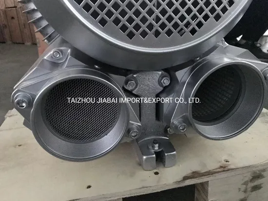 Punch Finished Product 18.5kw Regenerative Side Channel Air Ring Blower