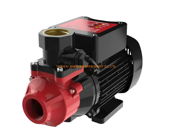 Smart Intelligent Qb60 Booster Hot Water Pump