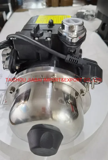 High Quality Automatic Taiwan Microcomputer Constant Pressure Booster Pump for Household