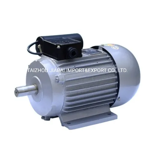 Yc Single Phase Two-Value Capacitor Asynchronous Electric Motor