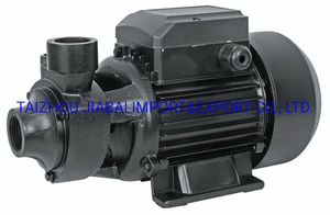 Brass Impeller Brushless Motor DC 48V 550W Qb Solar Booster Solar Pump