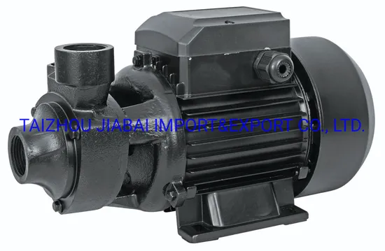 Brass Impeller Brushless Motor DC 48V 550W Qb Solar Booster Solar Pump