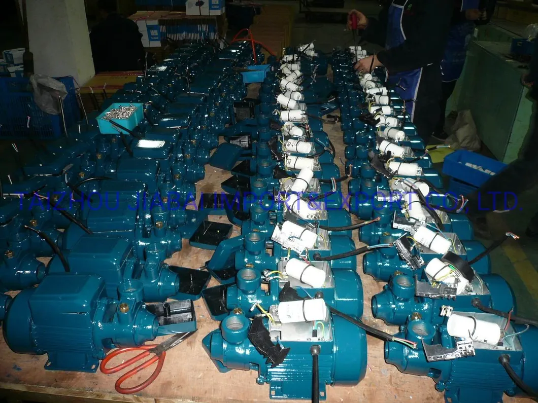 Wholesaler Qb Series Copper Wire Qb60 0.5HP Electric Solar Centrifugal Submersible Surface Peripheral Self-Priming Vortex Pump