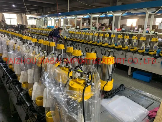 Stainless Steel Submersible Pump 750W for Waste Water 2 Inch