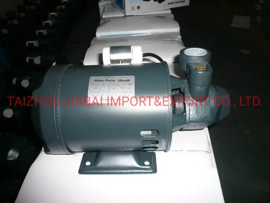 Pm16 Factory Directly Copper Wire Brass Impeller Electrical Peripheral Pump
