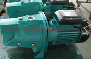 0.75HP Jet Water Pump with Thermal Protector (JSW10M/A)