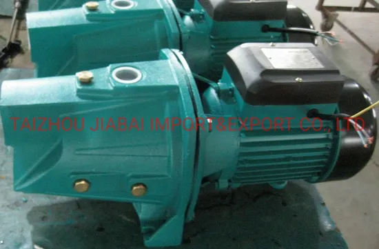 0.75HP Jet Water Pump with Thermal Protector (JSW10M/A)