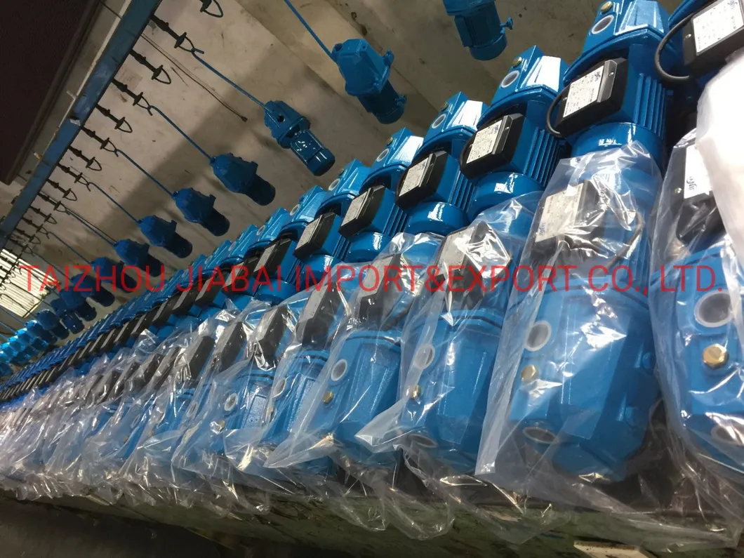OEM ODM 10j/Jsw10m Jet Pump Self-Priming Jet/ Centrifugal Electric Water Pump for Deep Wells or Agriculture