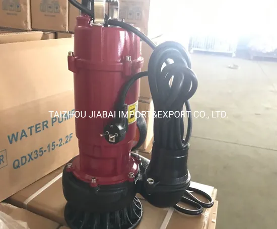 Qdx Electric Pumps with High Quality Submersible Water