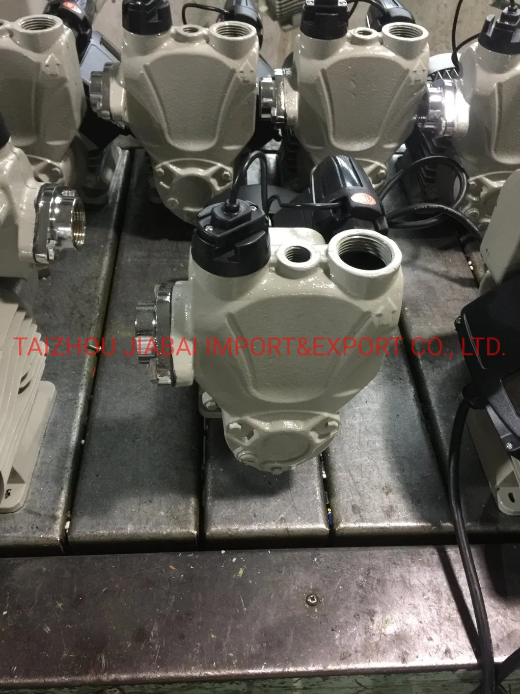 Pond Irrigation Self-Priming Auto Water Pump with Terminal Block