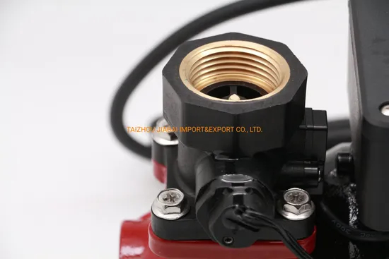 Smart Intelligent Qb60 Booster Hot Water Pump