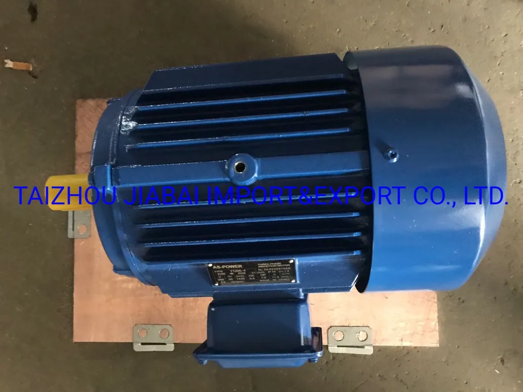 Y2 Three Phase Side Terminal Box Customized Asynchronous Induction Motor