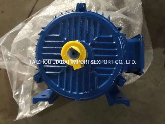 Y2 Y Side Terminal Box Three Phase Electric Motor with CE