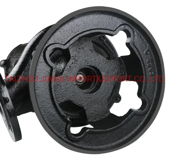 Professional Manufacturer Good Quality Sewage Water Pump Wq15-30-3 with CE Certificate