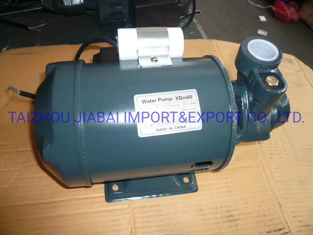 Pm16 Factory Directly Copper Wire Brass Impeller Electrical Peripheral Pump