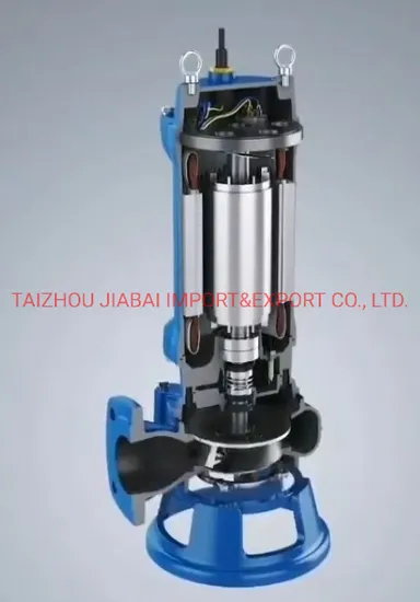 Big Flow High Capacity Submersible Pump Dirty Water Pump Sewage Water Pump for Municipal Works Industrial Buildings Transport Rainwater
