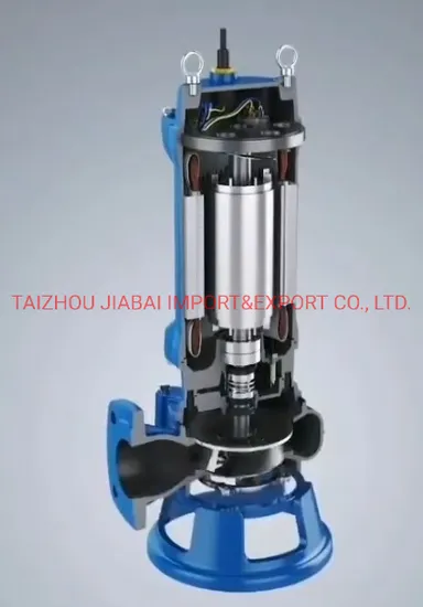 Big Flow High Capacity Submersible Pump Dirty Water Pump Sewage Water Pump for Municipal Works Industrial Buildings Transport Rainwater