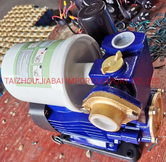 0.37kw Automatic Boosting Water Pump for Home