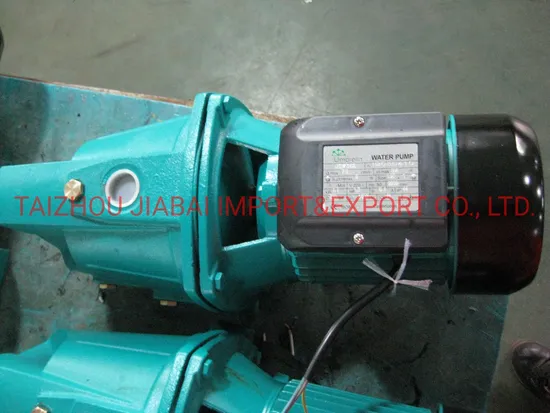0.75HP Jet Water Pump with Thermal Protector (JSW10M/A)
