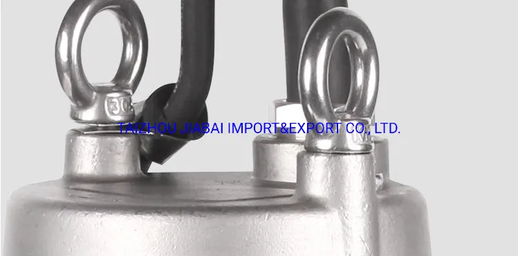 Wastewater Treatment Submerged S. S. Sewage Pump with Self Coupling System