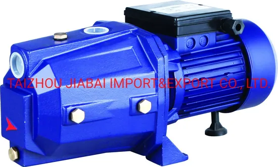 Jet100 Self Priming Pump High Head Electric Water Pump (0.75kw/1HP)