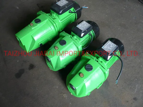 0.75kw Electric Motor Copper Wire High Pressure Self-Priming Jet Water Pump