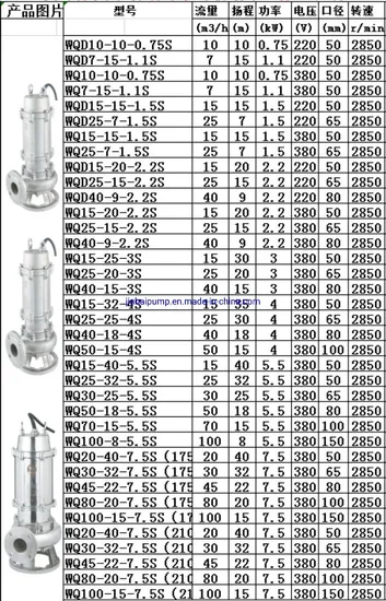 Wq Series Submersible Sewage Pump with Cutter (stainless steel)
