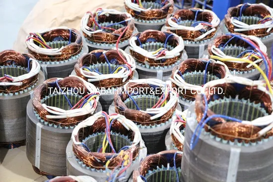 Yc Single Phase Two-Value Capacitor Asynchronous Electric Motor