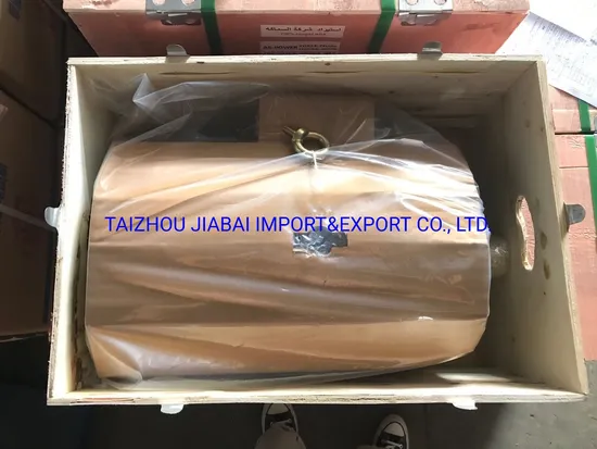 AC Asynchronous Three Phase Electric Motor with Explosion-Proof Certificate