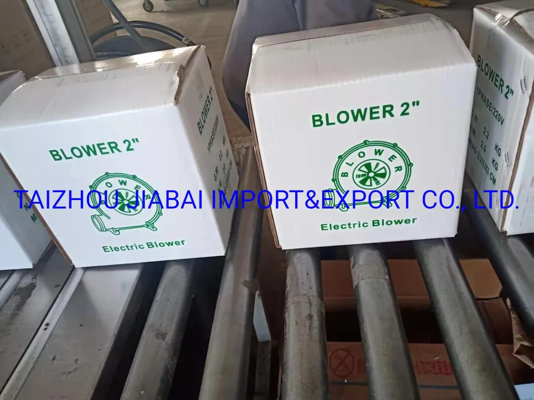 Fans ABS-2 Inch Copper Wire Taiwan Blower