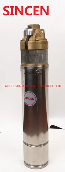 2inch 4inch 6inch 220V/380V DC/AC Deep Well Borehole Pump for Irrigation