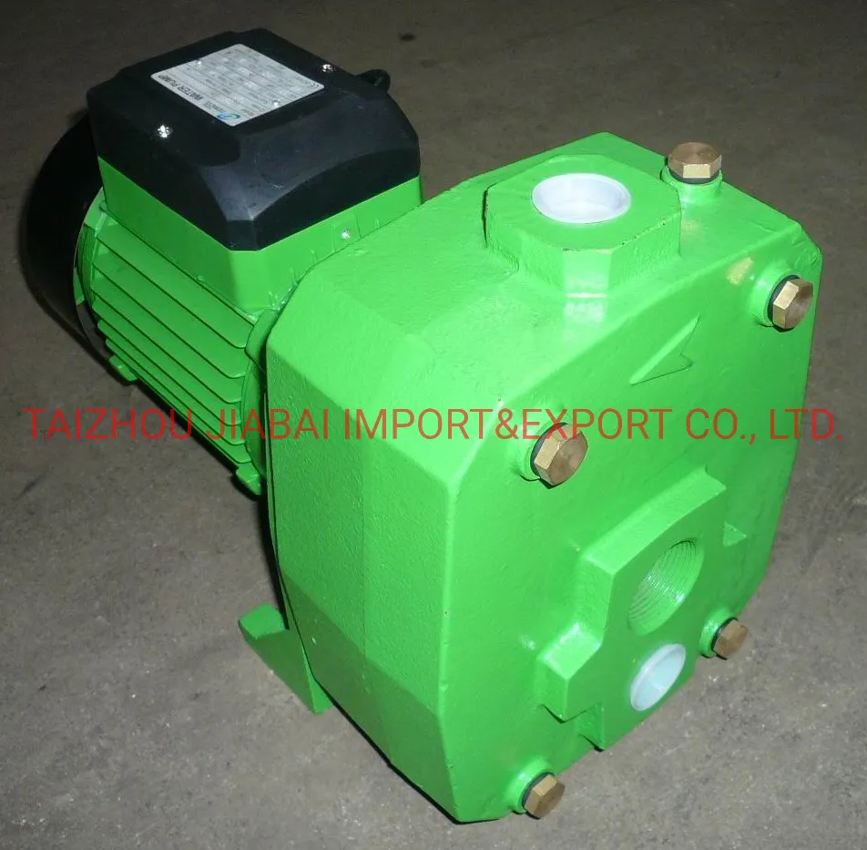 Dp750 1.5kw 2HP Jet Water Submersible Pump Deep Well Pumps