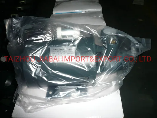Pm16 Factory Directly Copper Wire Brass Impeller Electrical Peripheral Pump