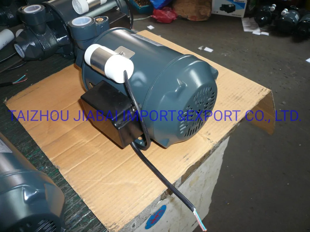 Pm16 Factory Directly Copper Wire Brass Impeller Electrical Peripheral Pump