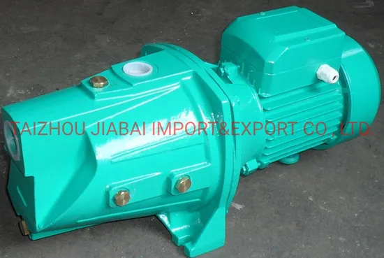 0.75HP Jet Water Pump with Thermal Protector (JSW10M/A)