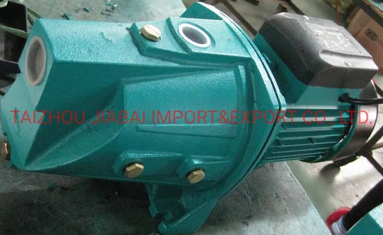0.75HP Jet Water Pump with Thermal Protector (JSW10M/A)