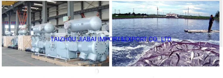 Wastewater Treatment Submerged S. S. Sewage Pump with Self Coupling System