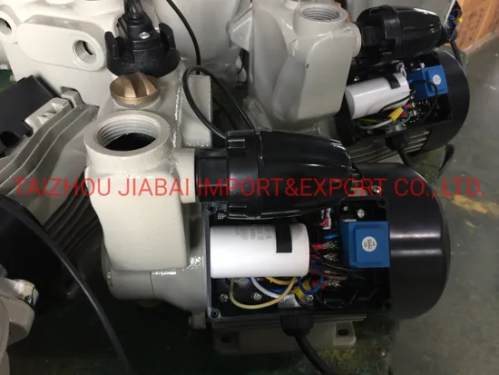 Pond Irrigation Self-Priming Auto Water Pump with Terminal Block