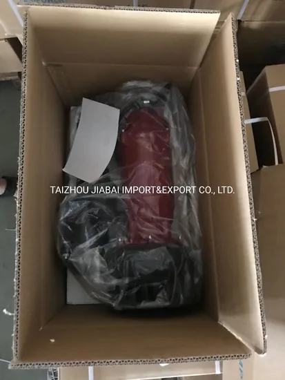 Good Quality Popular Submersible Water Pump Qdx with CE