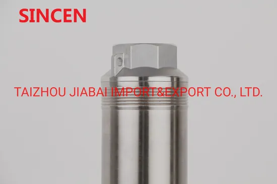 Sincen 4sdm10/12 Brass Outlet Copper Wire Deep Well Submersible Water Pump 2.2kw