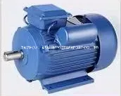 Copper Winding Single Phase Yc Electric Motor 220V