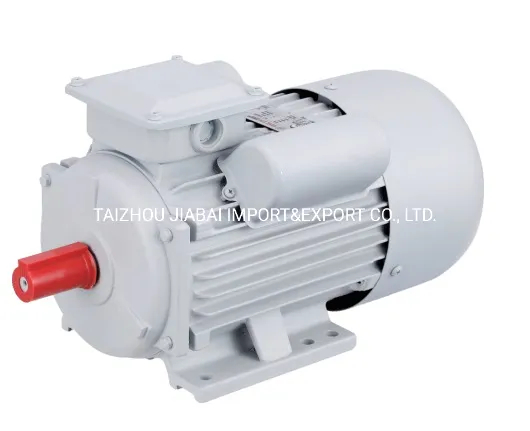 Yc Capacitor Start Single Phase Vertical AC Electric Motor of Fractional Horsepower