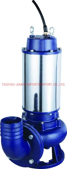 Big Flow High Capacity Submersible Pump Dirty Water Pump Sewage Water Pump for Municipal Works Industrial Buildings Transport Rainwater