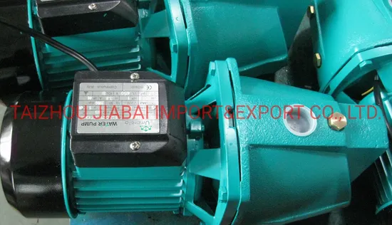OEM ODM 10j/Jsw10m Jet Pump Self-Priming Jet/ Centrifugal Electric Water Pump for Deep Wells or Agriculture