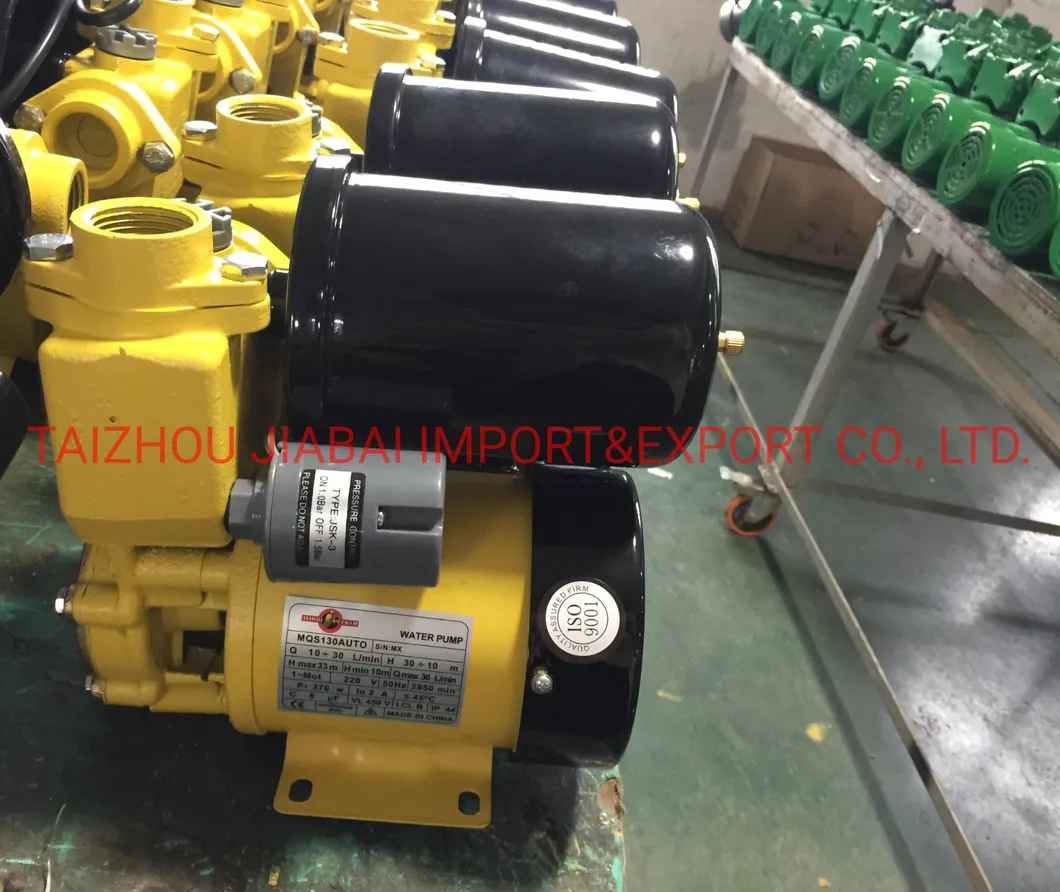 Pump Factory Self-Prming Pump Automatic Pump PS130