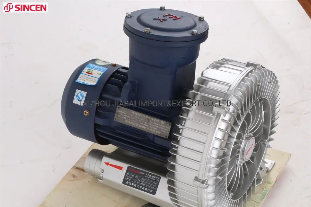 Pneumatic Regenerative Explosion Protection 750W Air Blower