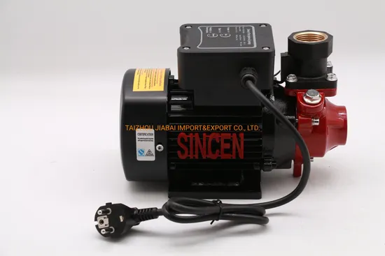 Smart Intelligent Qb60 Booster Hot Water Pump
