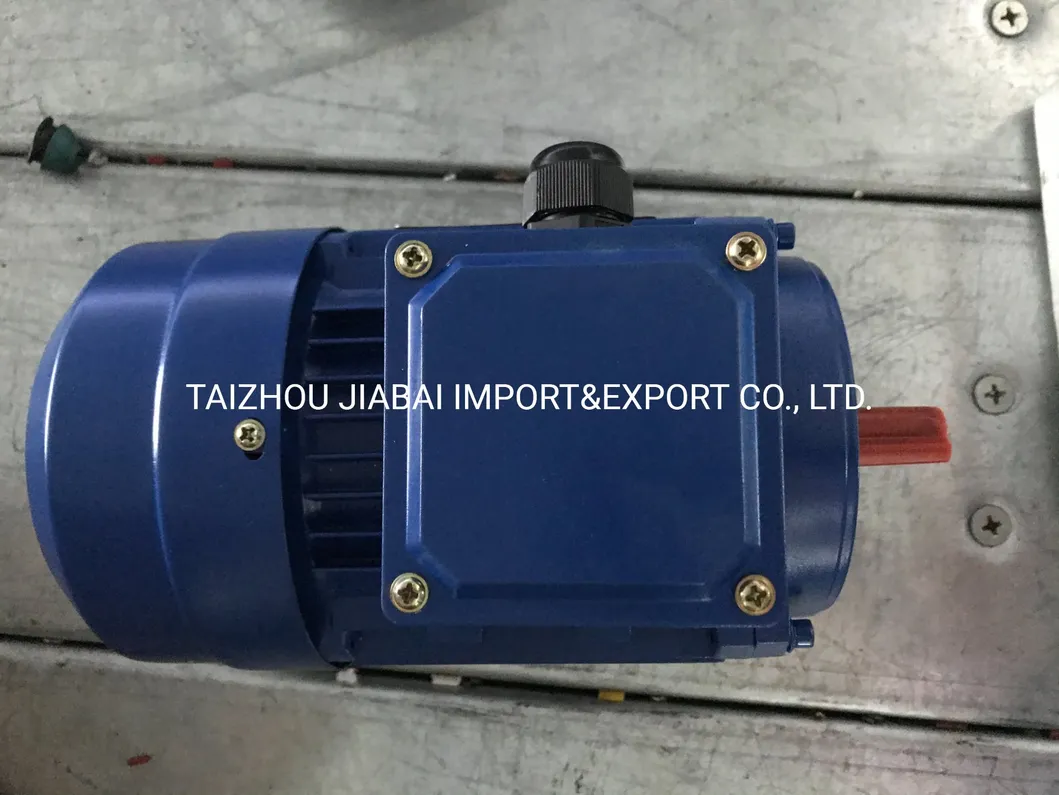 Ms Series Aluminium Body Three Phase Asynchronous Motor with Excellent Performance