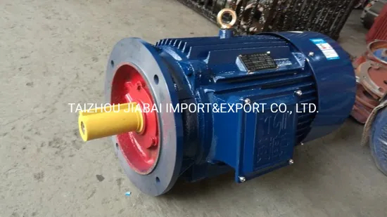 Heavy-Duty Three Phase Electric Motor for East-Europe Market