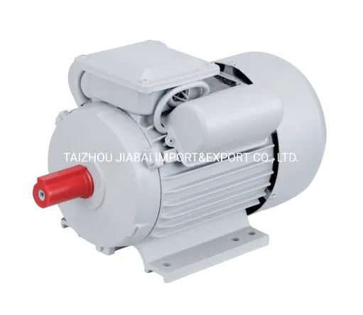 Yl Series Single Phase Induction Electric Motor (frame size from 71 to 132)